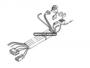 89159� ���� �������� ��� TTZ